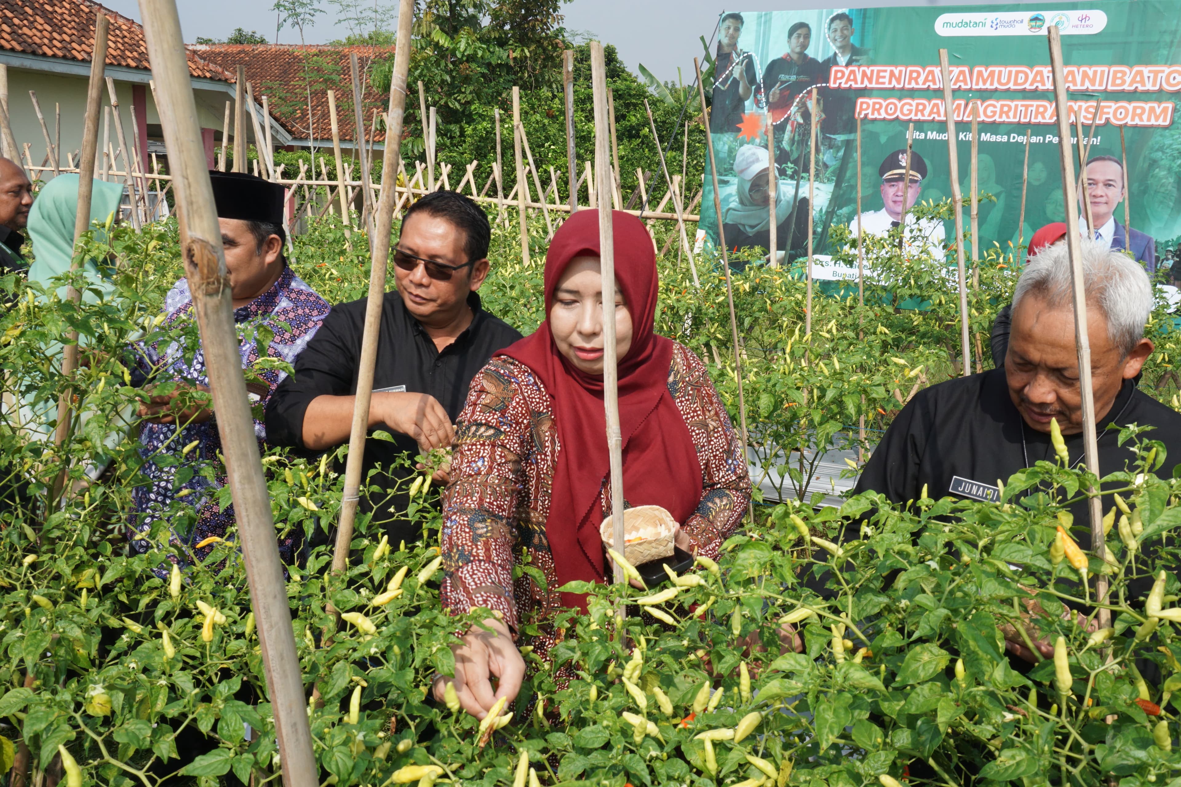 Aktivitas Budidaya Pertanian Regeneratif