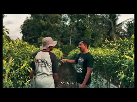 Branding Story Video Thumbnail